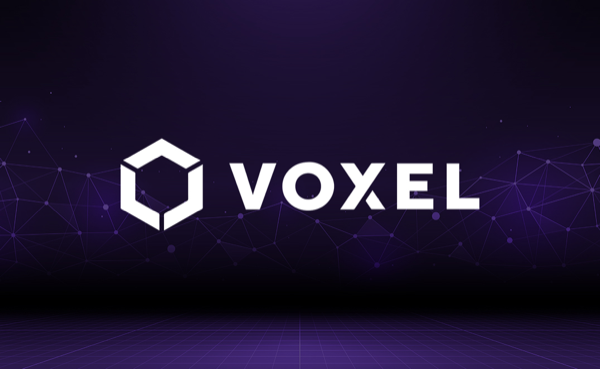 Voxel