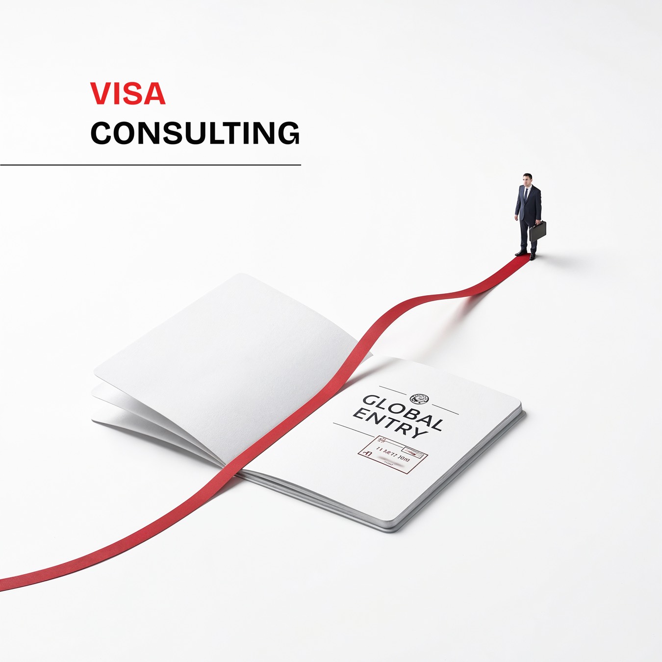 Visa Consulting